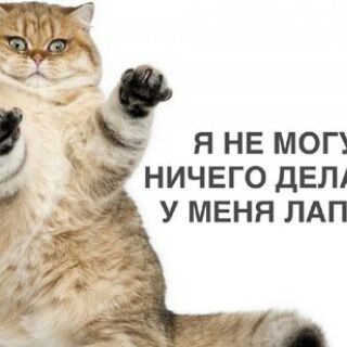 KILL_33_RUS